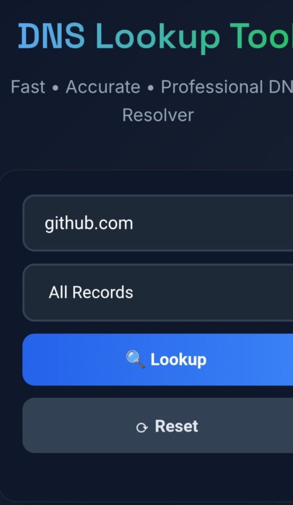 DNS Lookup web application