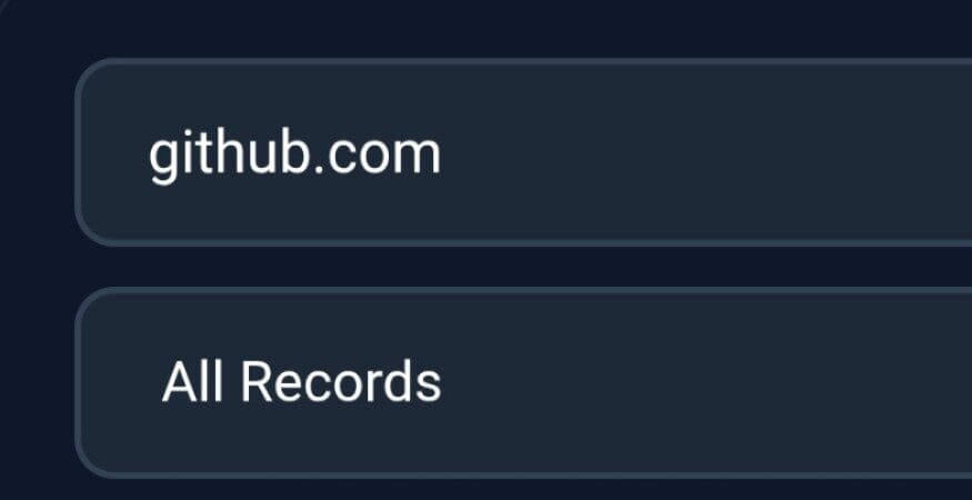DNS Lookup Tool