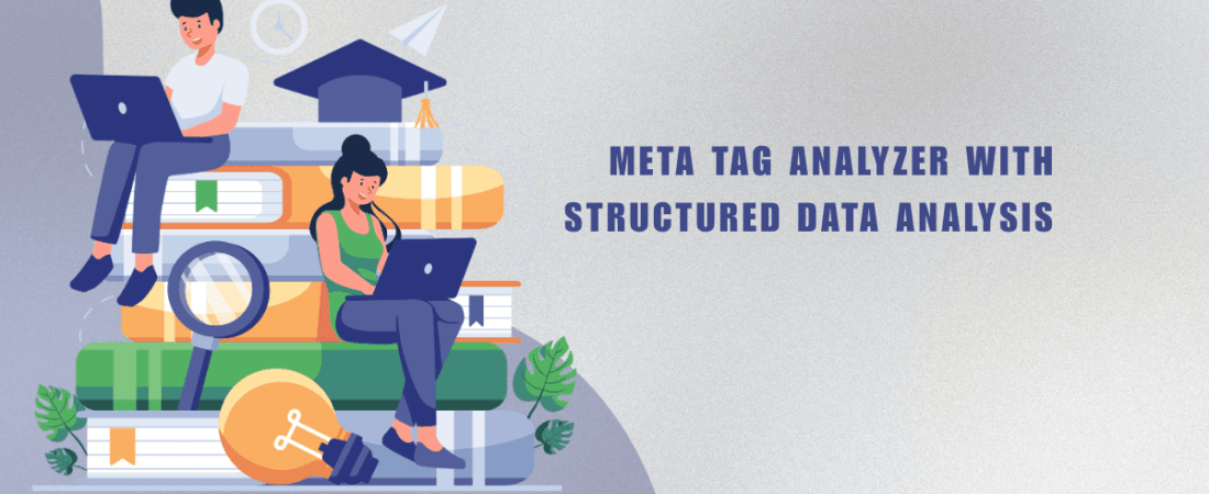 Meta Tag Analyzer with Structured Data Analysis