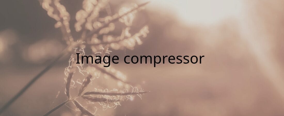 Image compressor web app