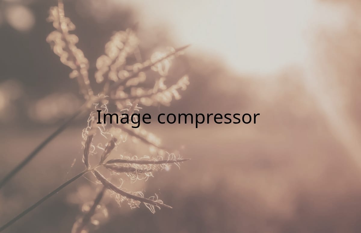Image compressor web app
