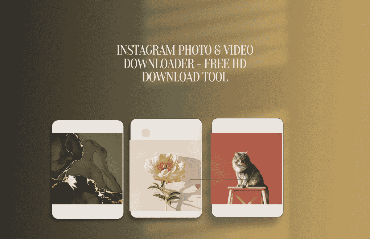 Instagram Photo & Video Downloader – Free HD Download Tool